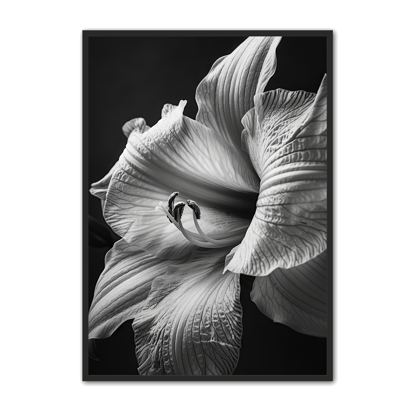 Blomster Plakat 5 - Naturplakat