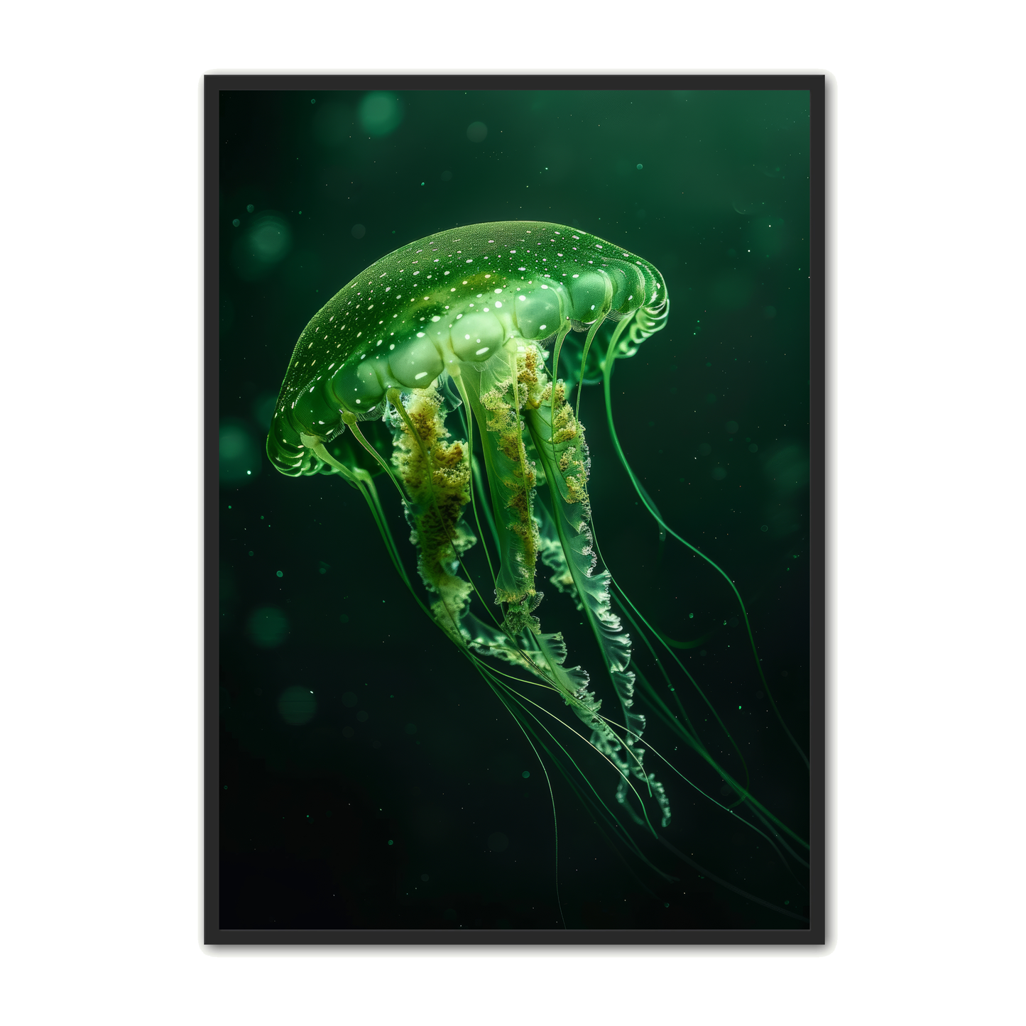 Jellyfish Plakat 13