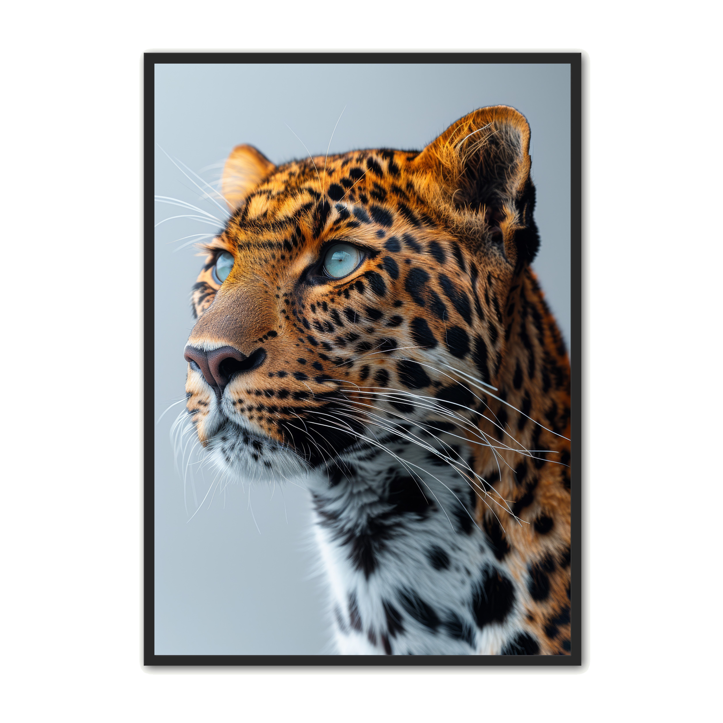 Leopard Plakat 1