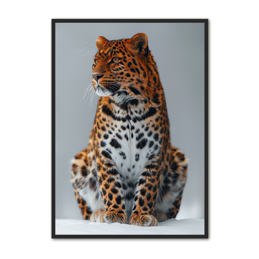 Leopard Plakat 2