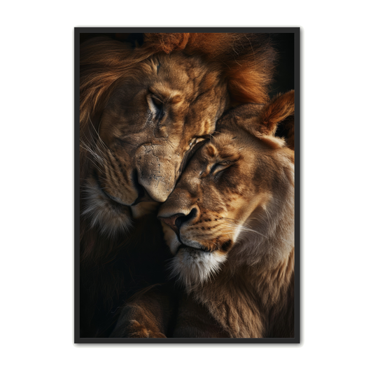 Løve Plakat 122