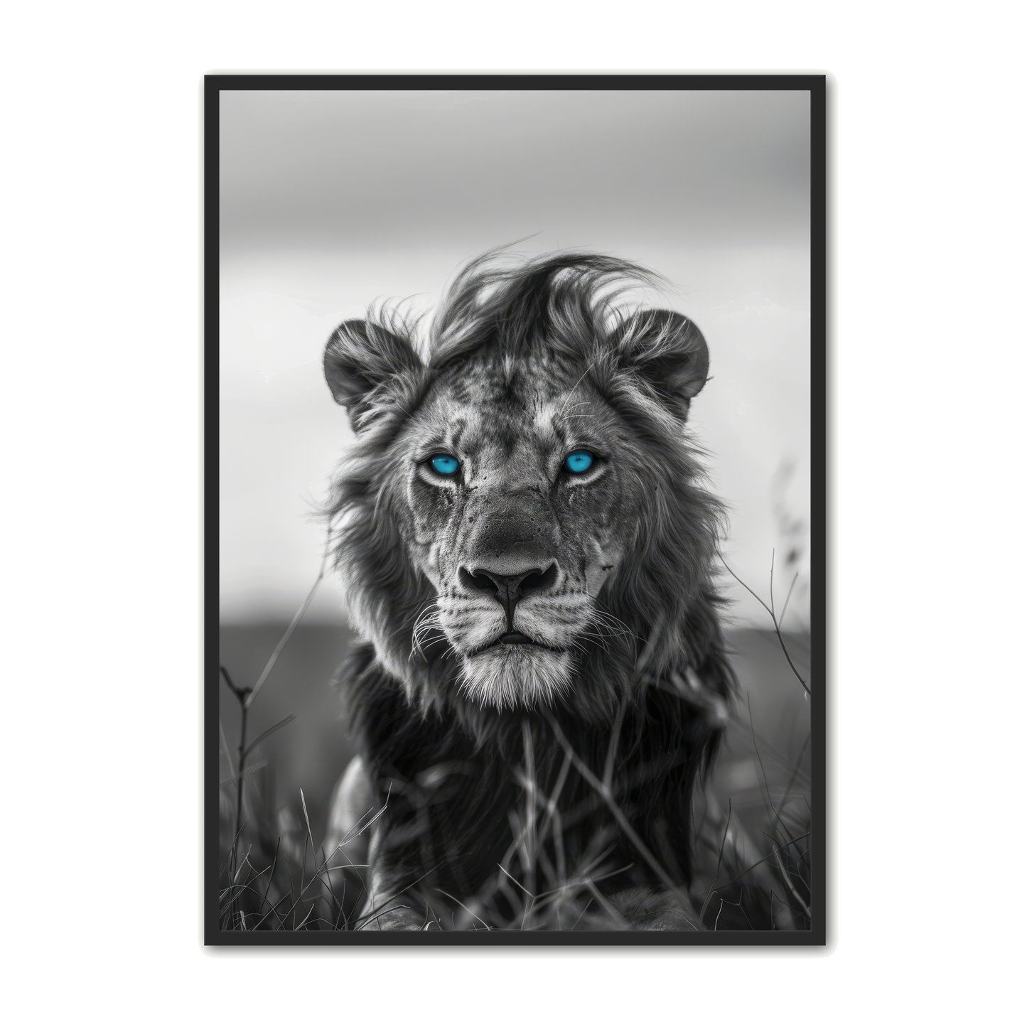 Løve Plakat 60