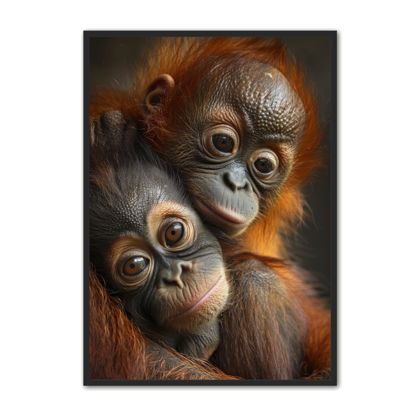 Orangutang Plakat 1 - Børneplakat