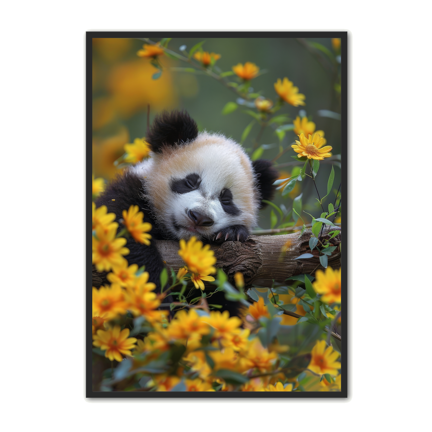 Panda Plakat 84 - Børneplakat