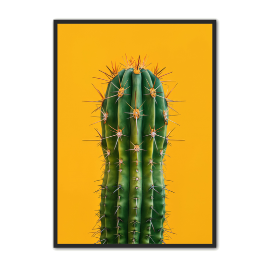 Plante Plakat 12 - Kaktus