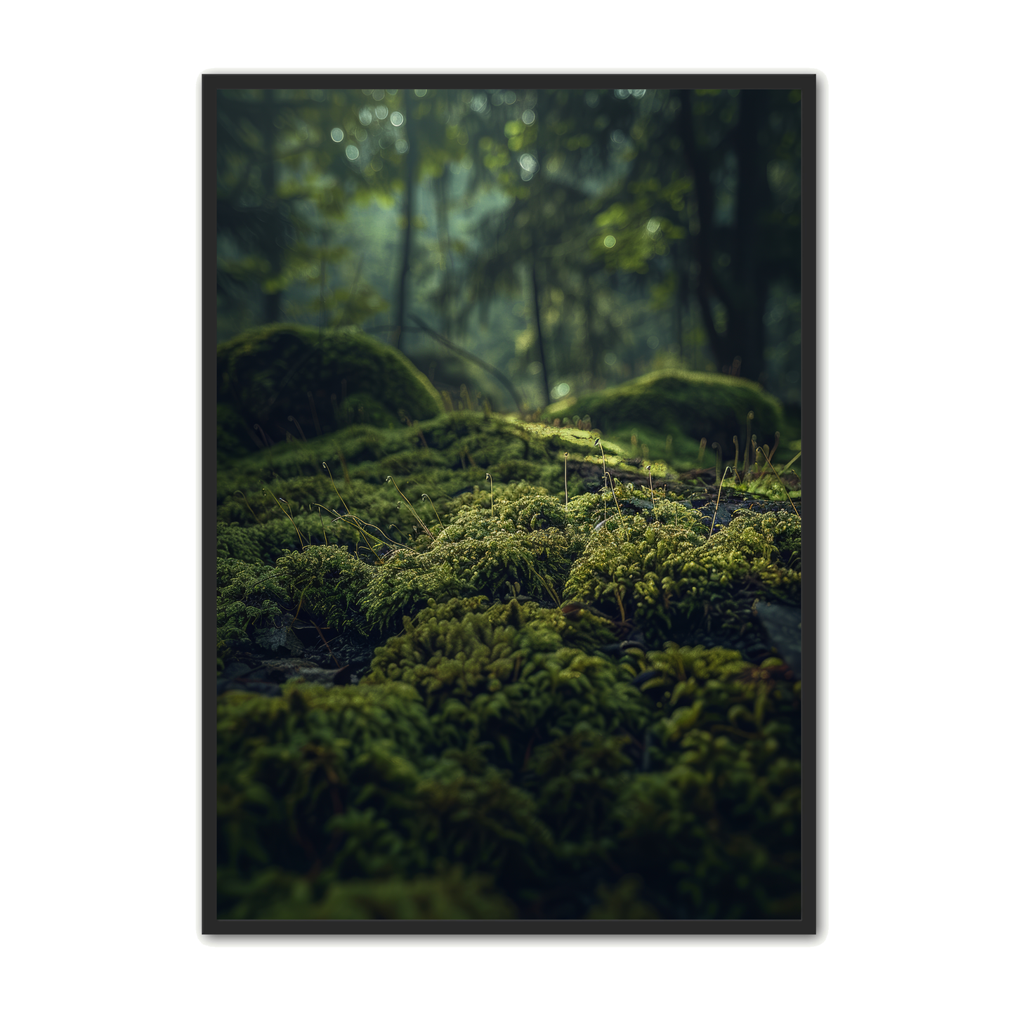 Skov Plakat 6 - Naturplakater