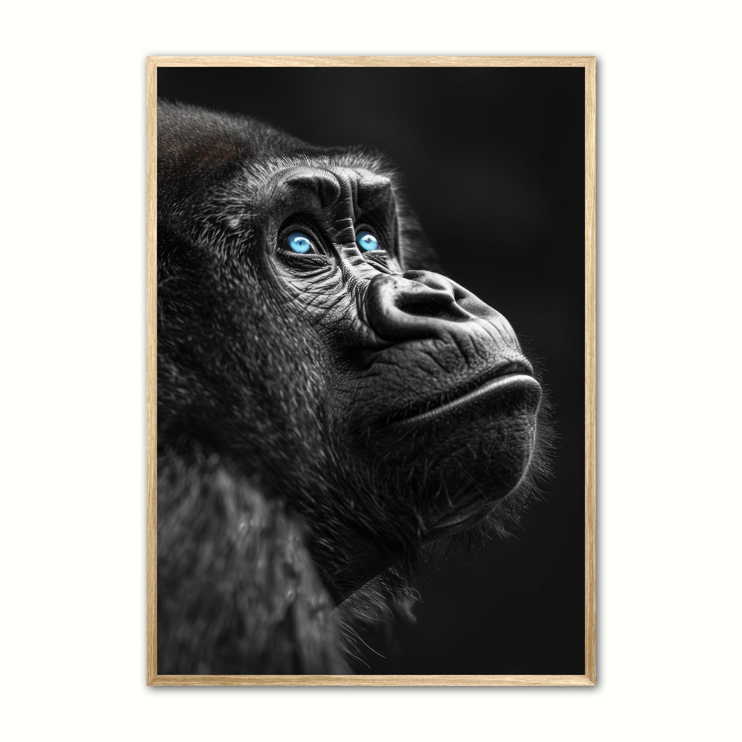 Blue Eyes 7 - Gorilla