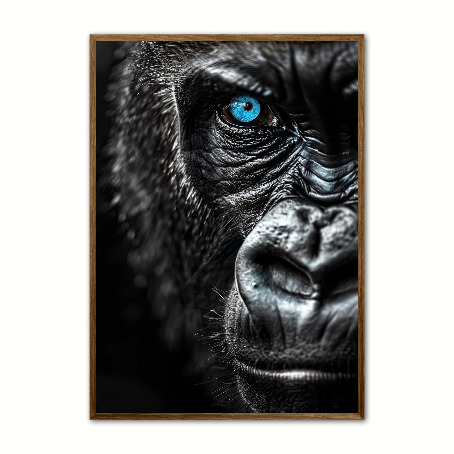 Blue Eyes 1 - Gorilla